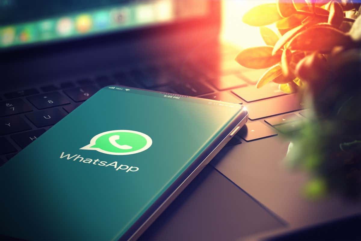 A smartphone displays the WhatsApp logo